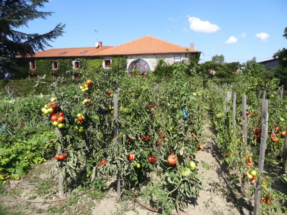 La Ferme De Rouffignac Hotell Blanzac  Exteriör bild